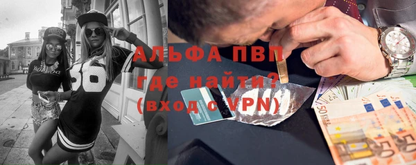 амф Зеленокумск