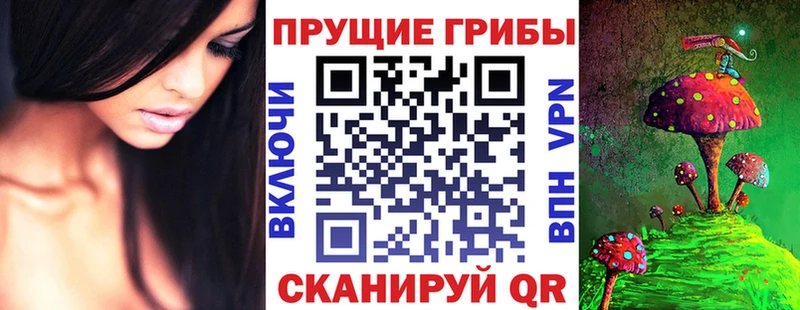 Псилоцибиновые грибы Psilocybe  Купить где  Ершов 